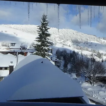 Appartement Happy Big Family Oberried (Breisgau)